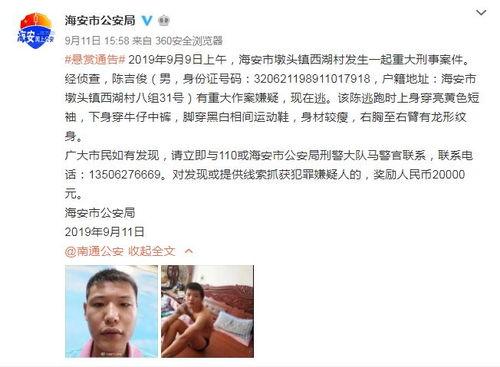 特大事件爆料最新消息视频,最新爆料视频深度解析