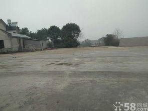 黄兴镇最新爆料消息,揭秘背后惊人真相