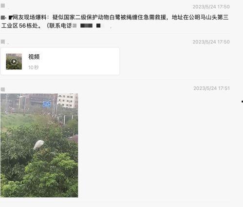 深圳女士爆料最新新闻,揭秘某知名企业内部惊人内幕