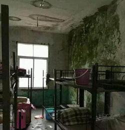 临沂东宿舍爆料事件最新